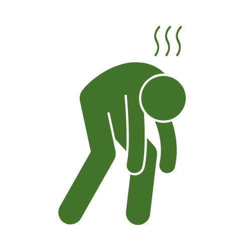 Alt Image