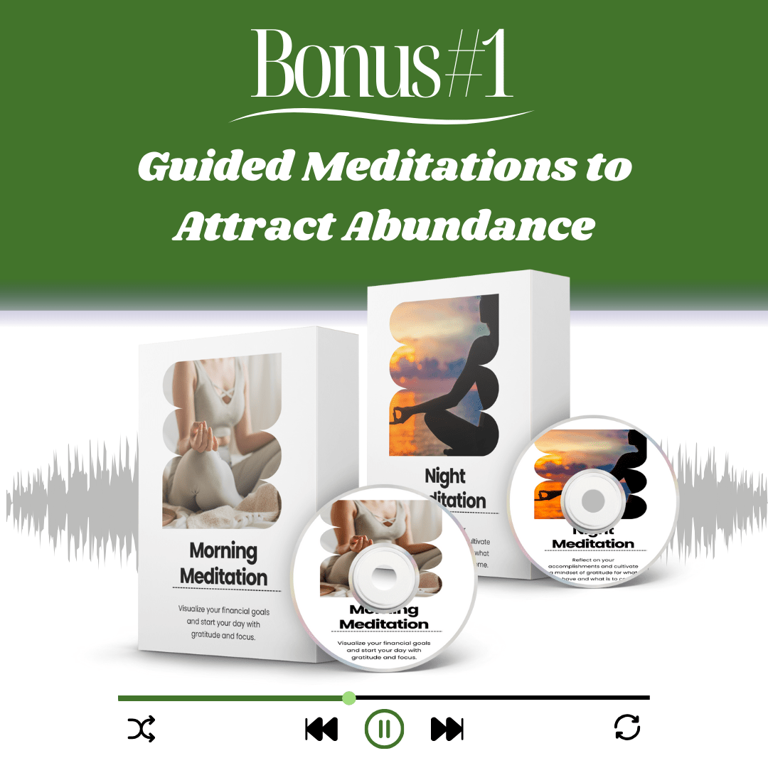 Mind & Money MasterKit: : Organize and Attract Wealth